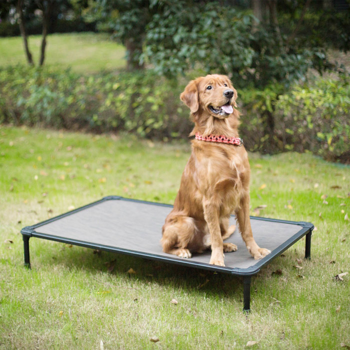 Tucker Murphy Pet Chew Proof Elevated Dog Bed Cooling Raised Pet Cot